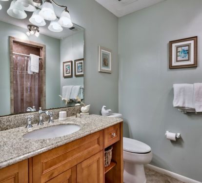 Private Guest Room Bath