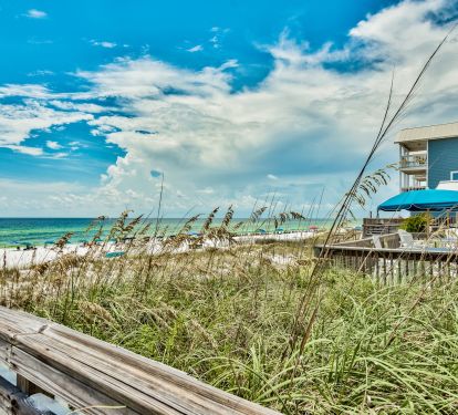 Enjoy 300 feet of private beach, sand, surf and sea oats! 