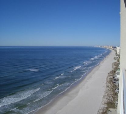 Photo #11