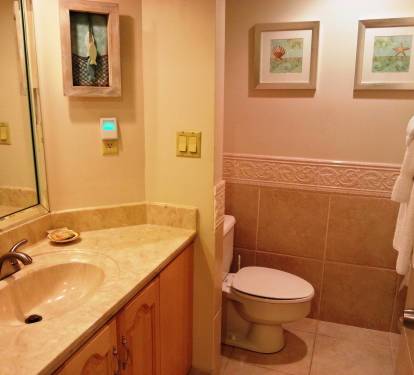 Guest Bathroom with a walk-in shower. Stone walls. All linens are supplied.