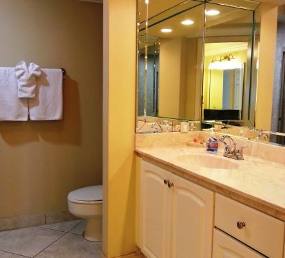 Private master bathroom has a large counter top . All lines are supplied..
