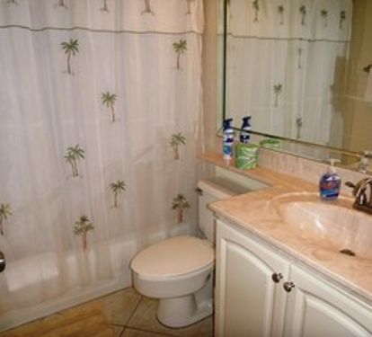 Private Guest Bathroom tub/showercombination. All Line are supplied.