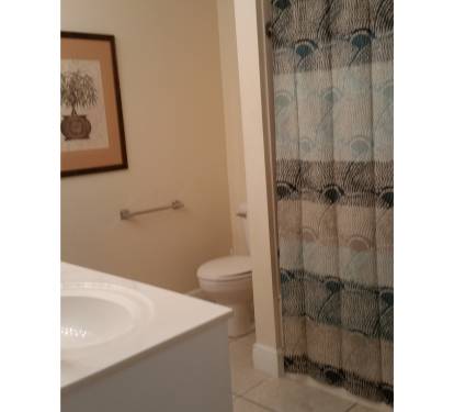 Master Bath - grab bars toilet and bathtub