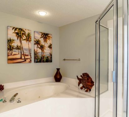Master bath