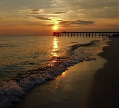 Photo #16