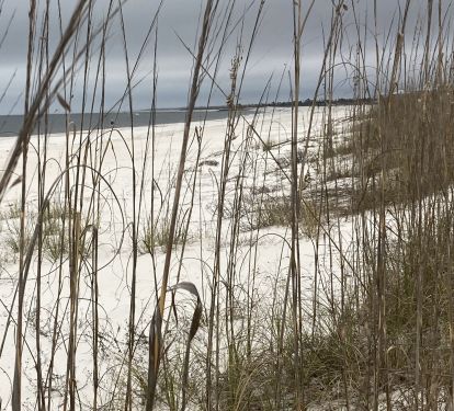 Beautiful Beach 