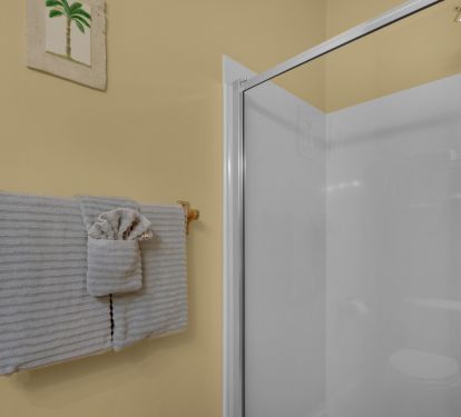 Walk in Shower Master Bedroom