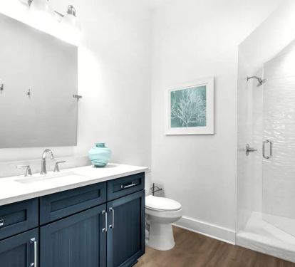 Vista-20 Bedroom 2 bath. Pic 1. 1st floor. Quartz vanity. Frameless glass shower.