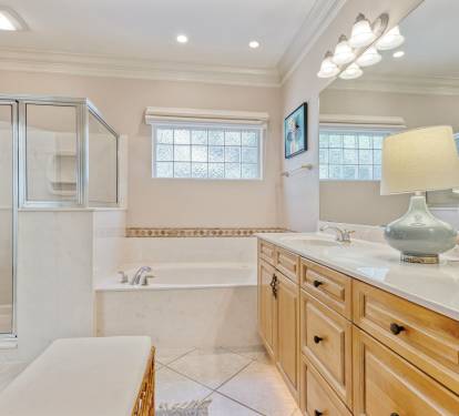 Large Tub and Shower