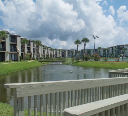 overlooking lake 