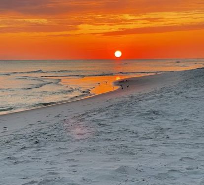 Photo #4