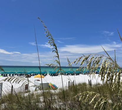 Dunes and beach