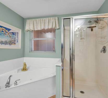 Master Bath has separate shower and jetted tub!   