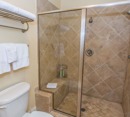 Large master bath shower with dual shower heads