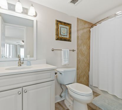 Master bathroom tub/shower combo