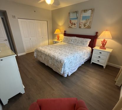 Master brand new lvt flooring! 
