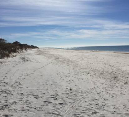 Facing South on the Beach