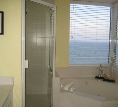 View from master bath jacuzzi and shower 