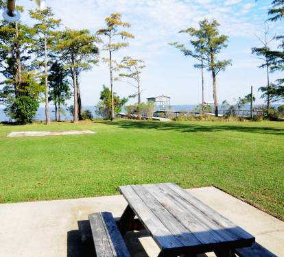 View of the bay from the picnic table