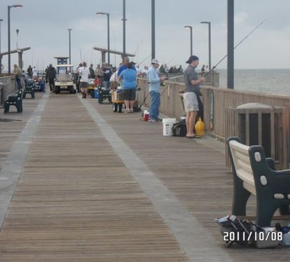 Walk to Gulf State park Pier for sight seeing or fishing.