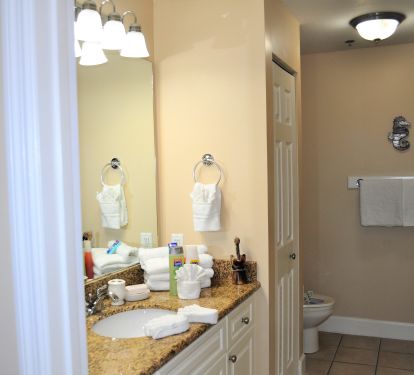 Master bathroom