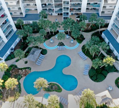 Swim under the palm trees in our resort-style pool