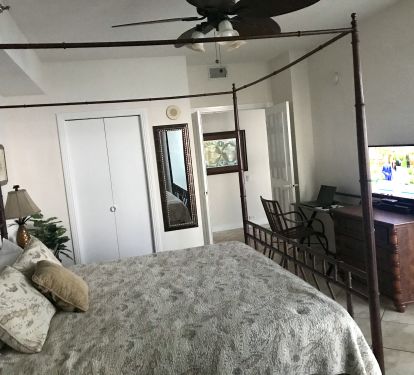Master Bedroom has large walk-in closet, desk, private bathroom, &amp; a great view