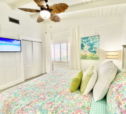 King Bed and Streaming Capable Samsung TV's 