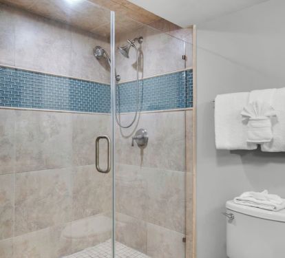 Large walk-in shower