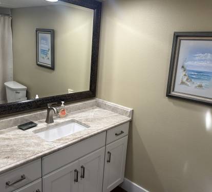 Master bathroom 