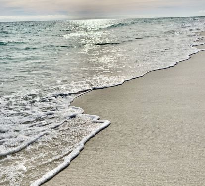 Leave only footprints