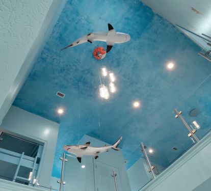 Aqua-1 Enjoyment assured! From swimming sharks to a glow in the dark pool deck, Aqua is sure to entertain.
