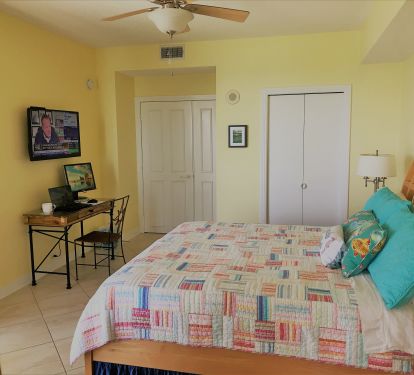 Master bedroom with 39 inch tv, giant bath, walk-in closet, desk &amp; great views