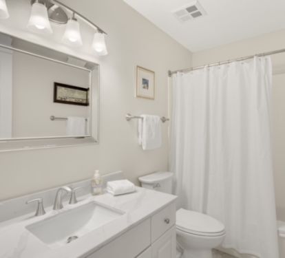 Hall Bathroom 