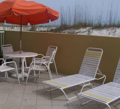 Photo #15