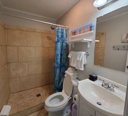 Main bathroom with full-size shower area.