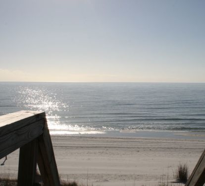Photo #4