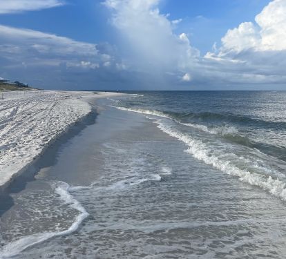 Morning walk on the Cape 