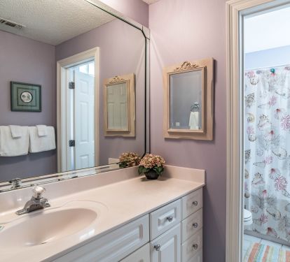 Guest Suite Bathroom.  Tub has jets.