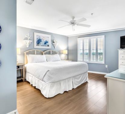 Large guest suite - King bed