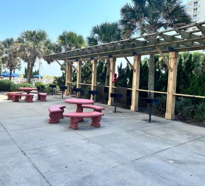 6 charcoal grills and seating area beside the pool