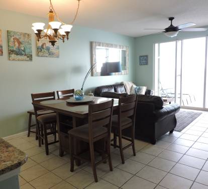 Dining / Living Area