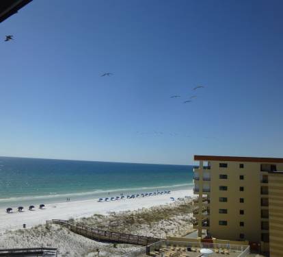 View from balcony - can see pelicans &amp; dolfins