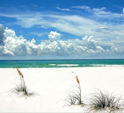 Beach View