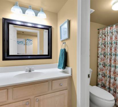 Guest bathroom.