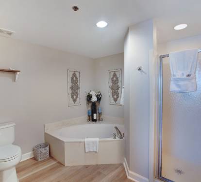 Master Bathroom w/whirlpool and Shower