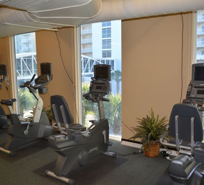 The fitness