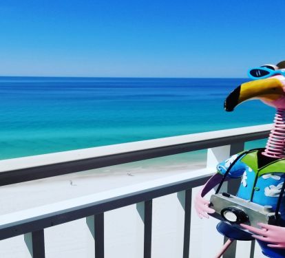 Fred thinks the view from the balcony is amazing!