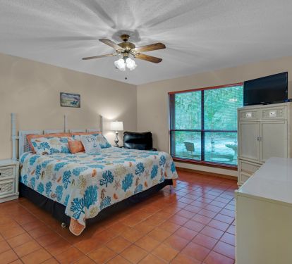 Master suite includes a tv and en suite bathroom