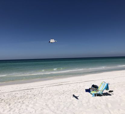 Soak up the sun on the beautiful white sands of Panama City Beach!